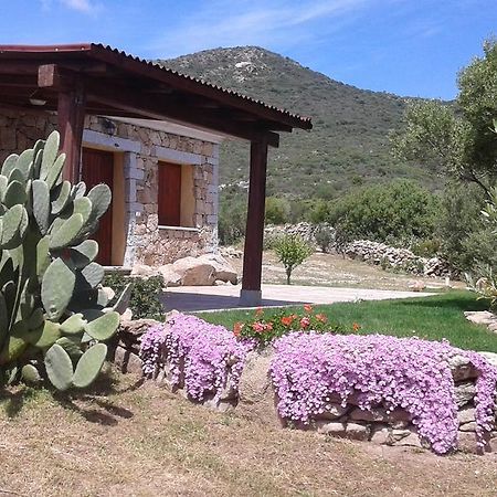 Stazzu Gallurese Villa Portisco Exteriör bild
