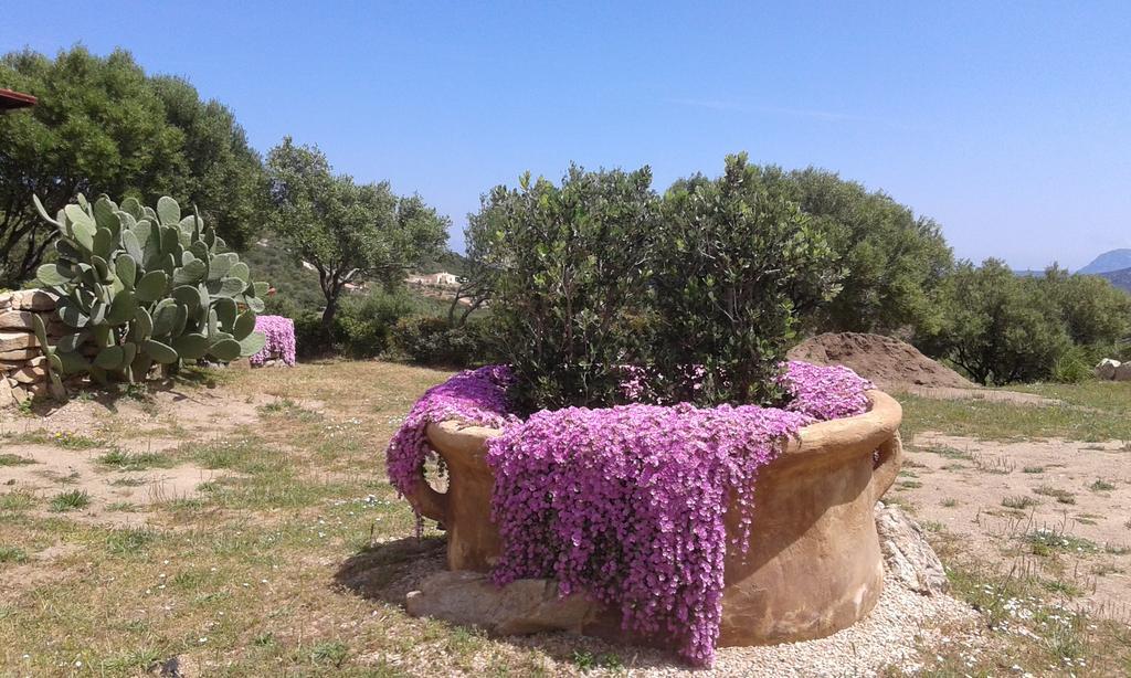 Stazzu Gallurese Villa Portisco Exteriör bild